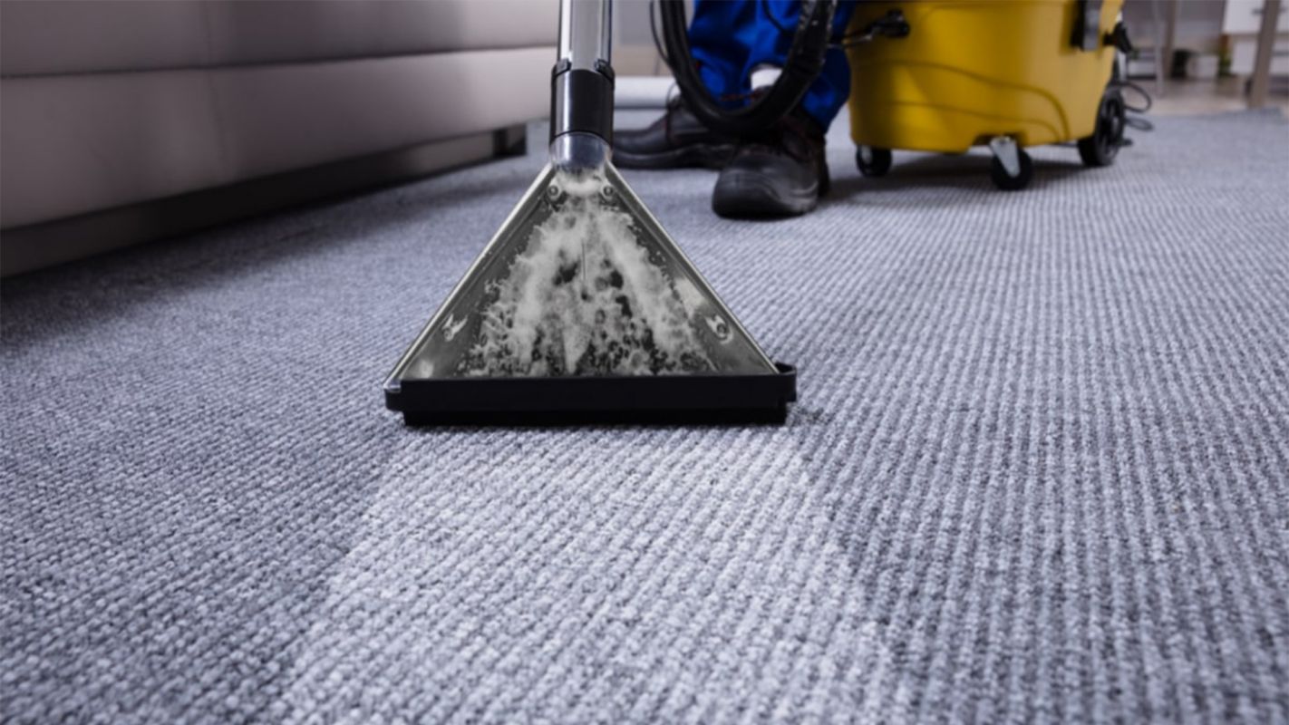 Best Carpet Cleaning Company Hanover MD