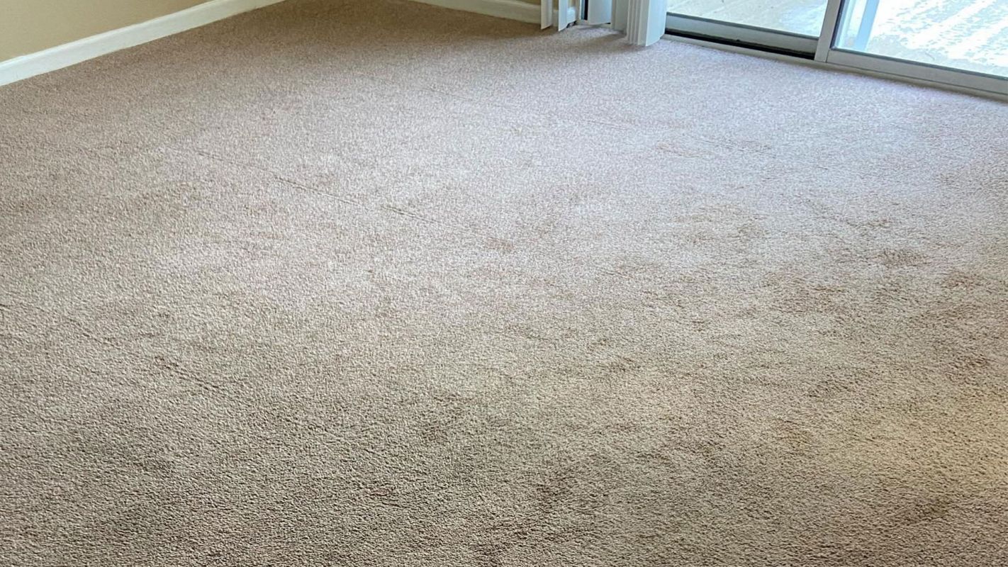 Carpet Cleaner South Bend IN