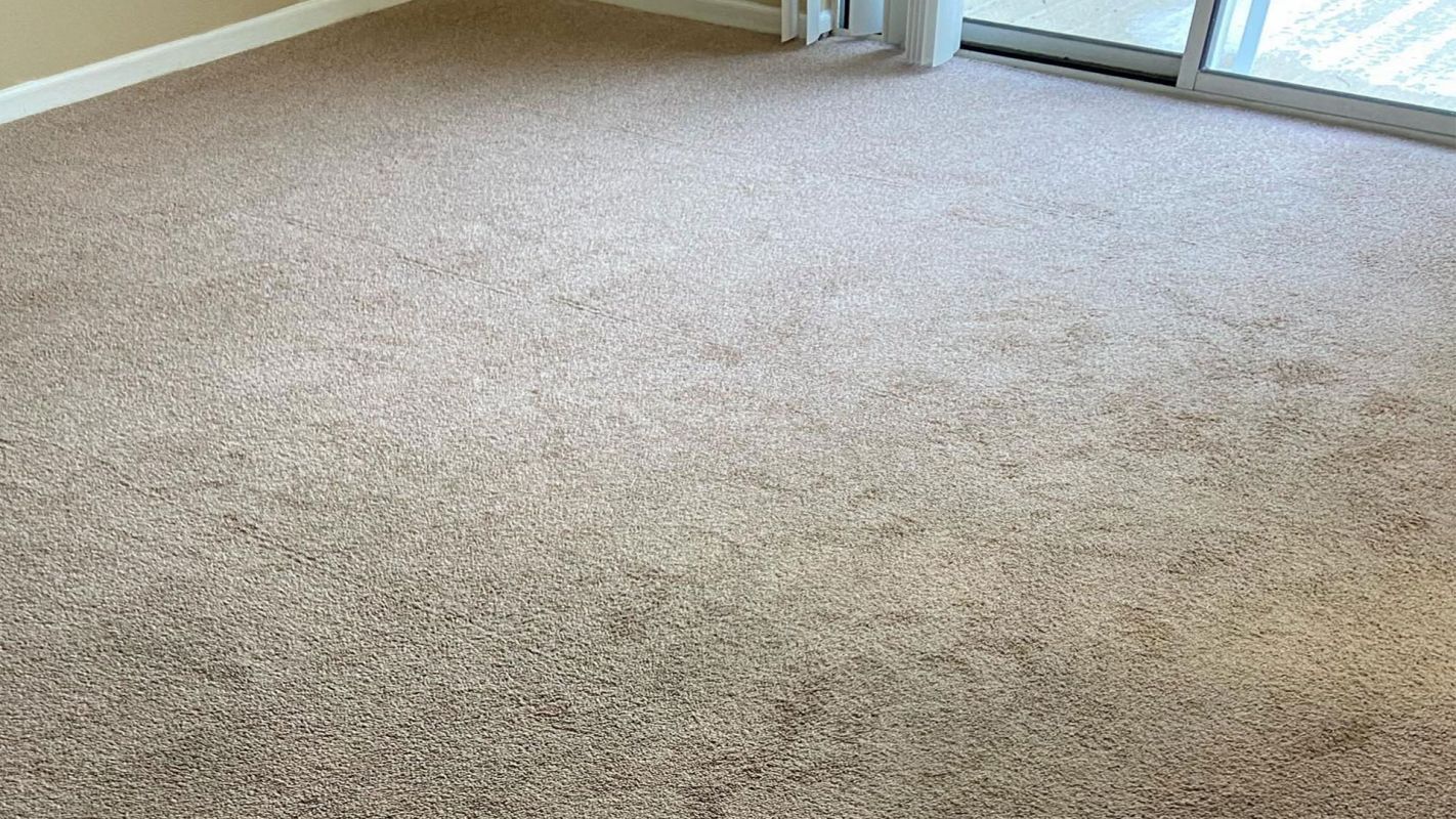 Carpet Cleaner Edwardsburg MI