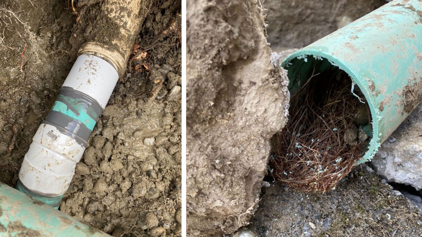 Drain Line Repair Bellevue WA