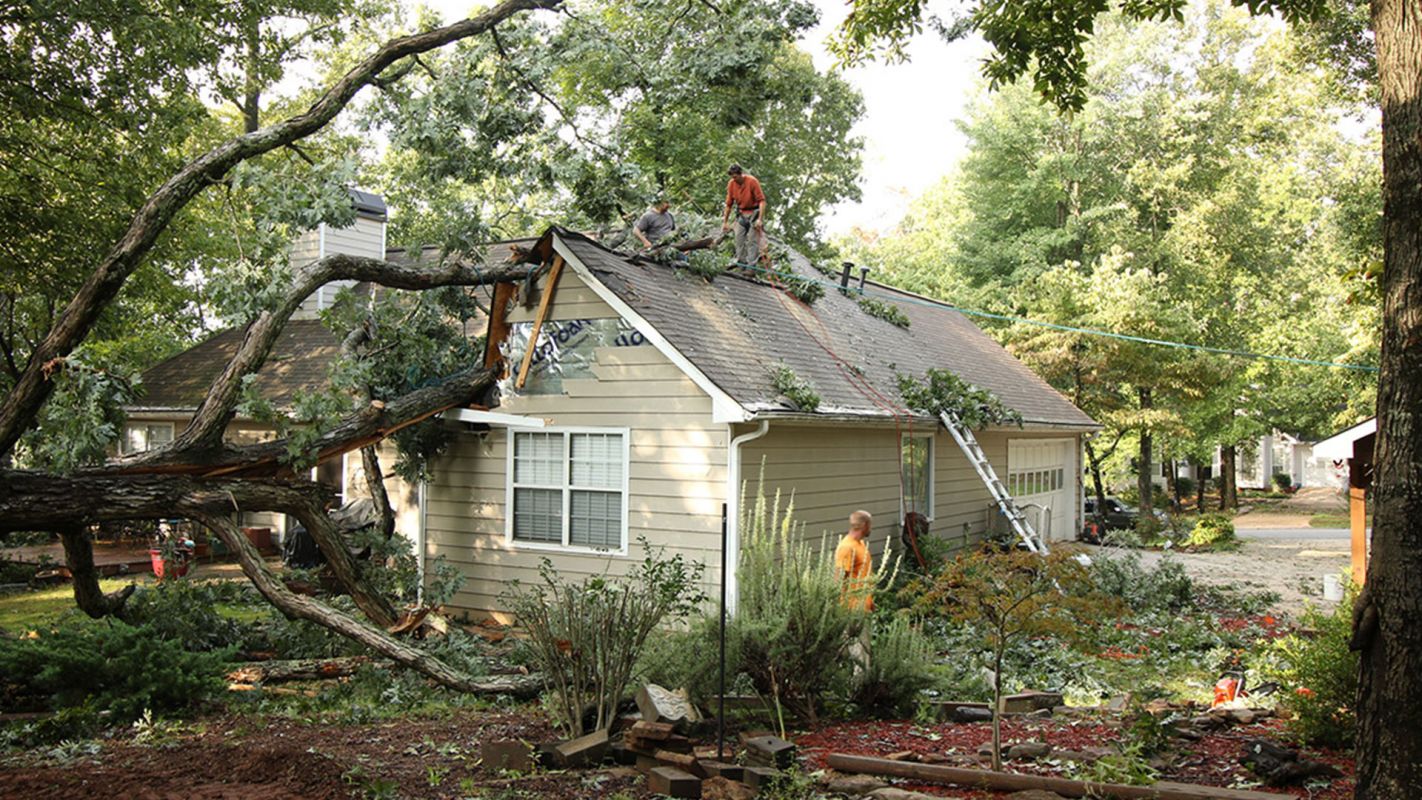 Storm Damage Cleanup Simi Valley CA