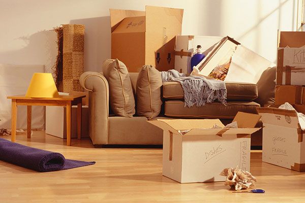 Apartment Movers South Holland IL