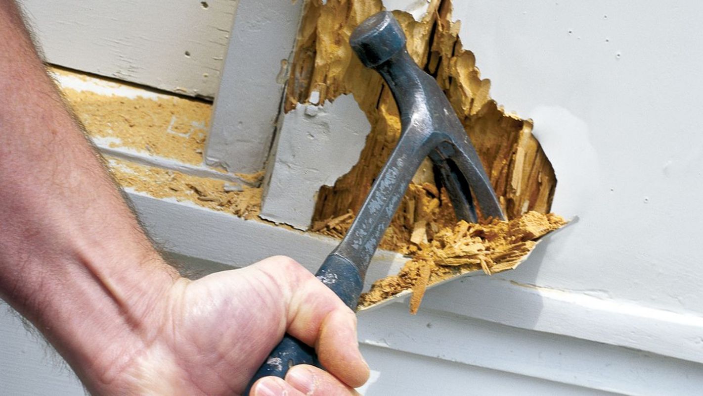 Dry Rot Repair Services Lincoln CA