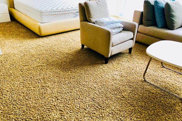 Carpet Installation Cost Saint Matthews KY