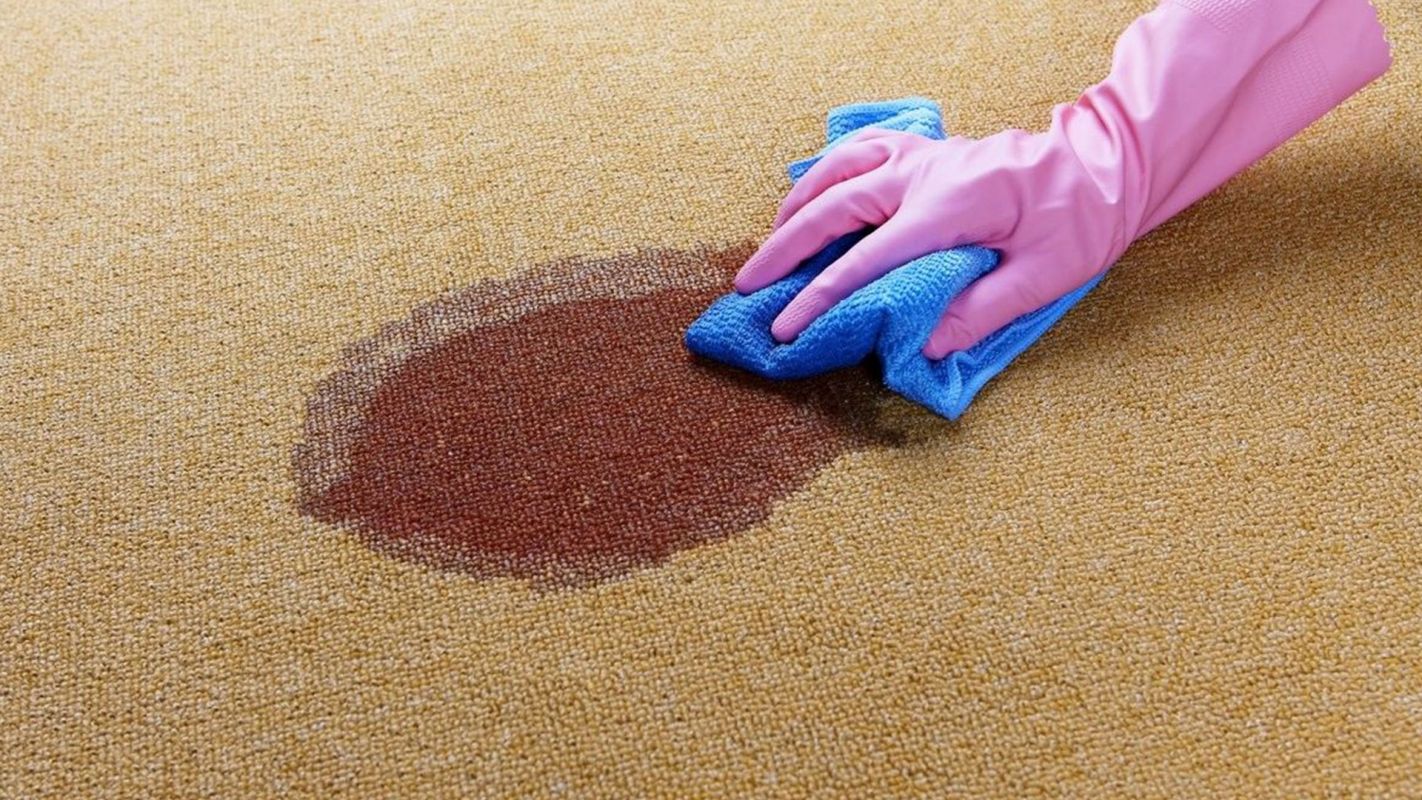 Stain Removal Services New Braunfels TX