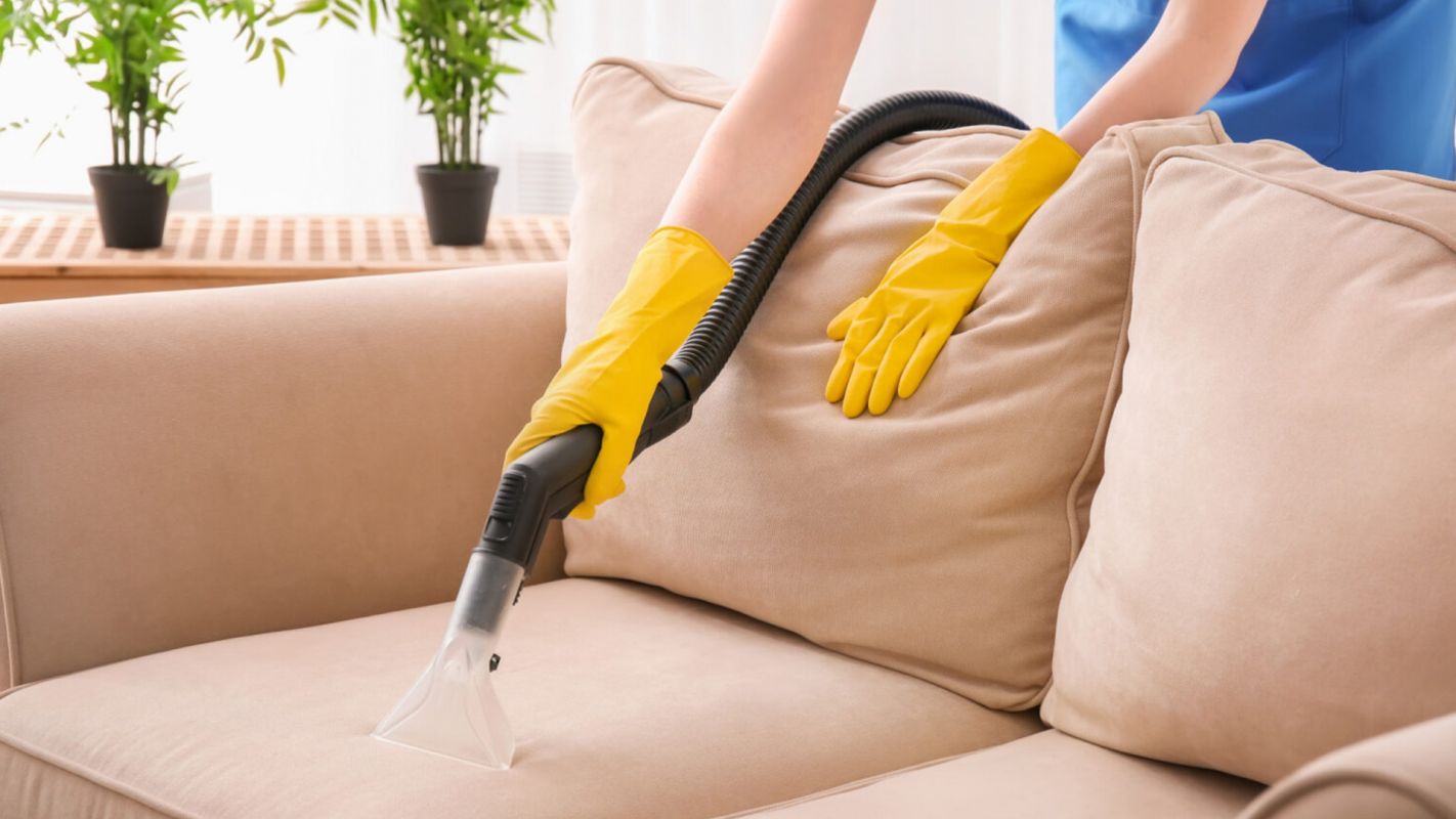 Sofa Cleaning Services Castle Rock CO