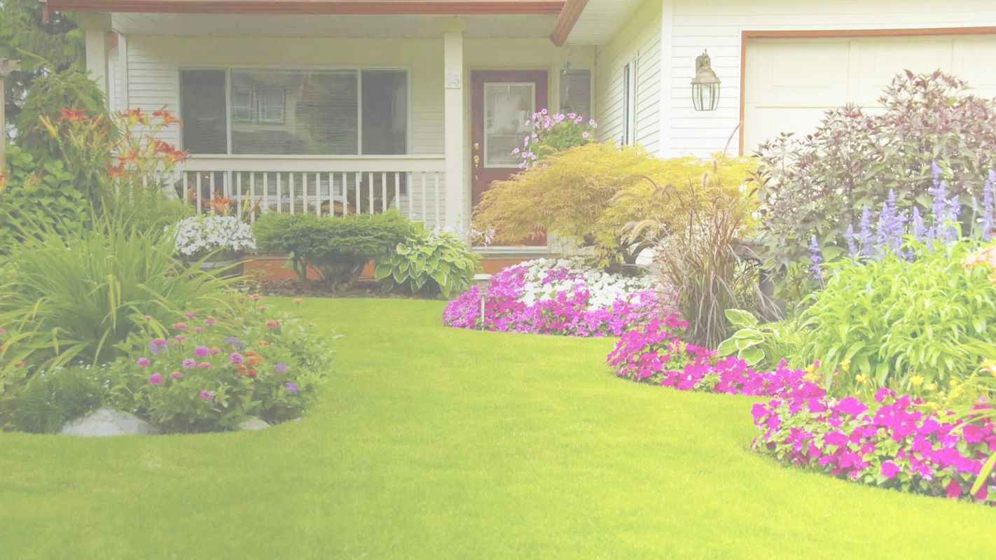 San Marcos, CA’s Affordable Landscaping Services San Marcos, CA