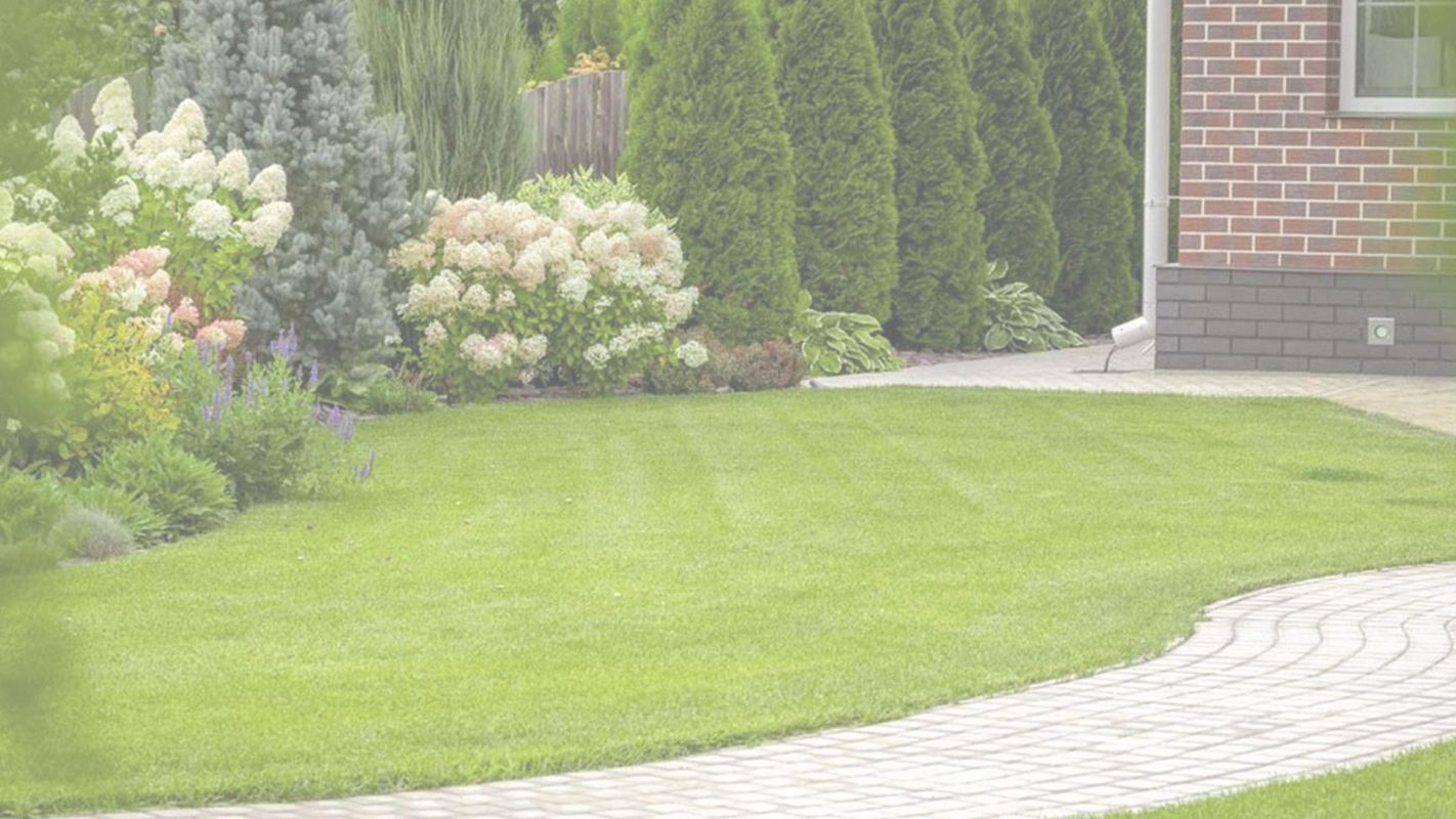 A Comprehensive Lawn Maintenance Services San Marcos, CA