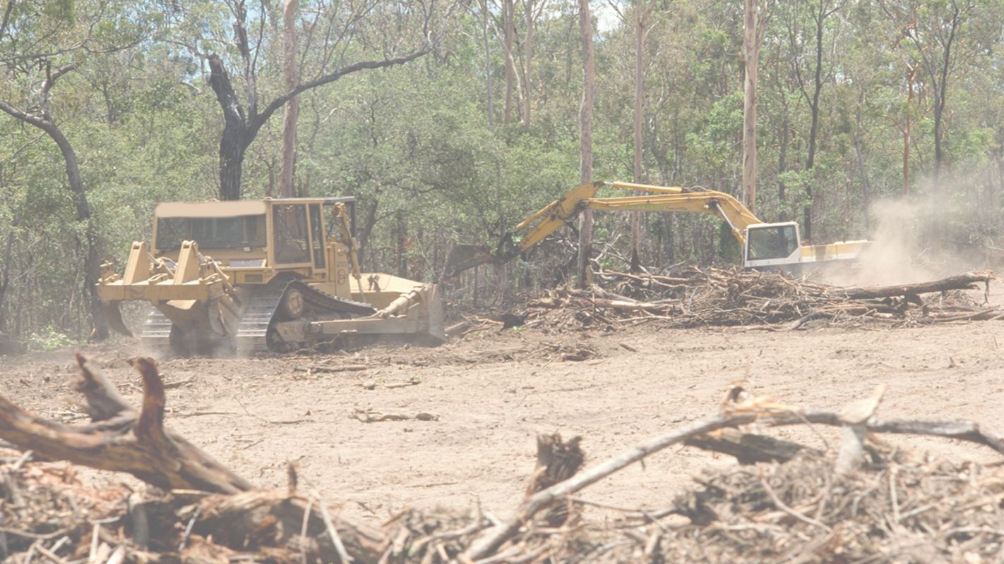 Get the Best Tree Clearing in Stamford, CT