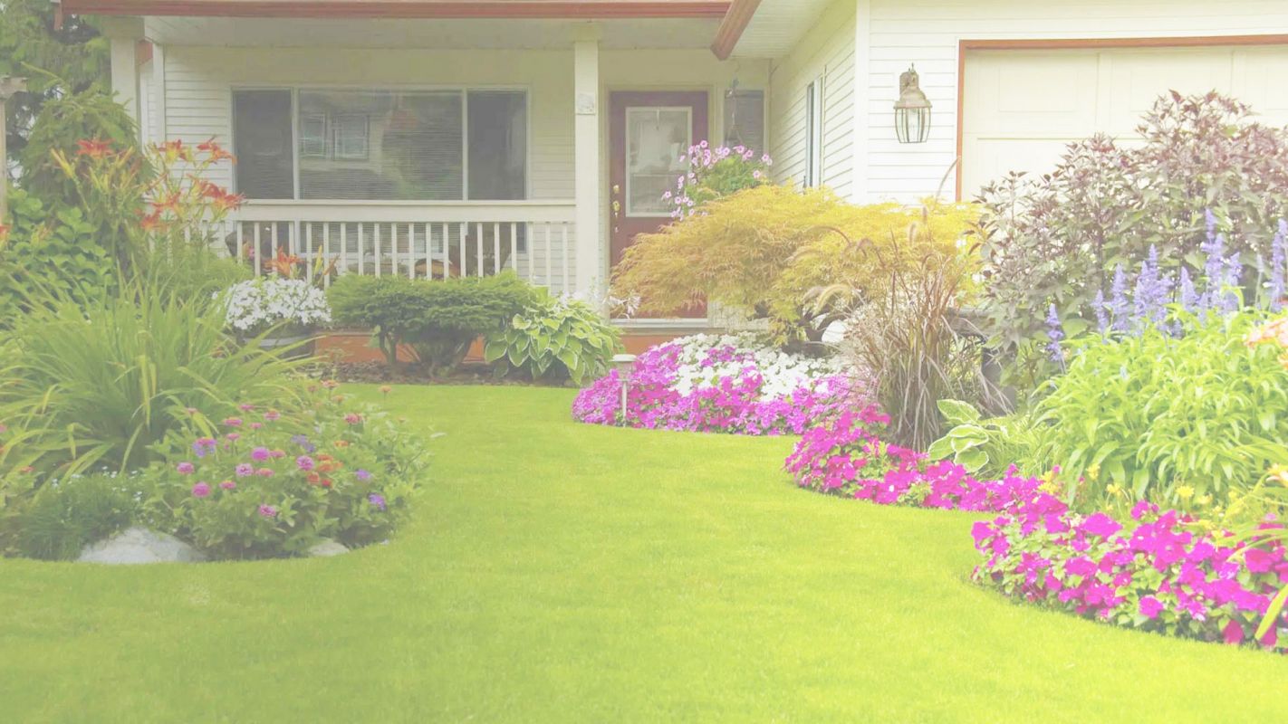 Bonsall, CA’s Affordable Landscaping Services Bonsall, CA
