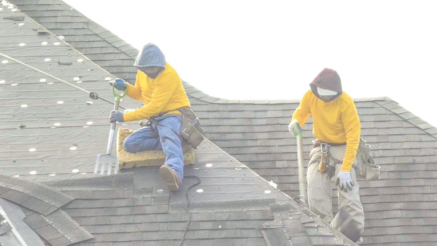 Roof Replacement Service to Minimize Damage