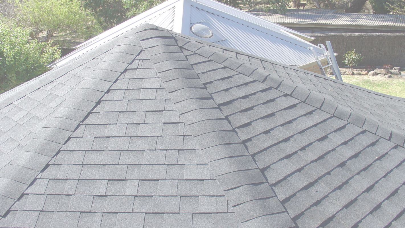 Quality Shingle Roofing with Durability