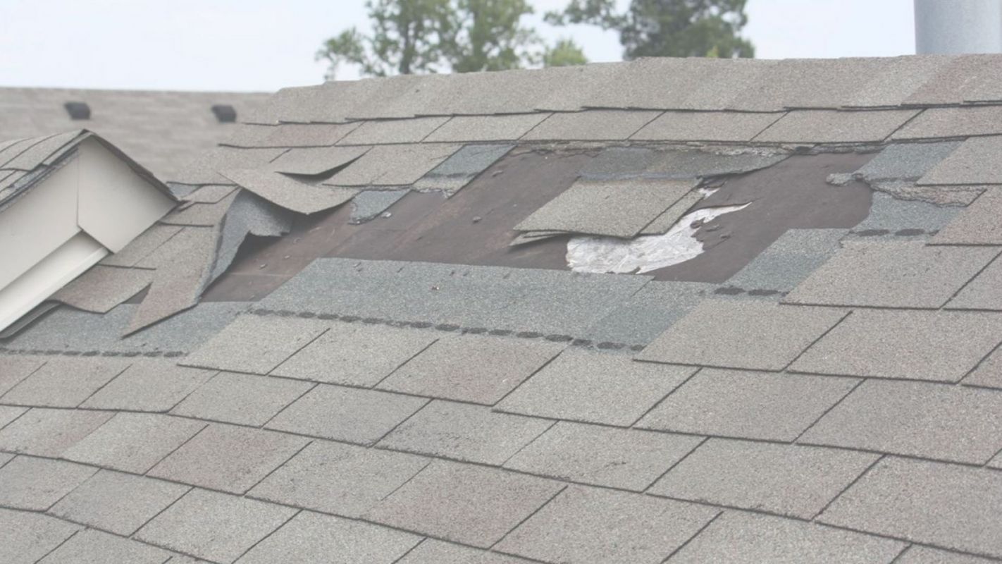Best Roof Leak Repair Service Pembroke Pines, FL
