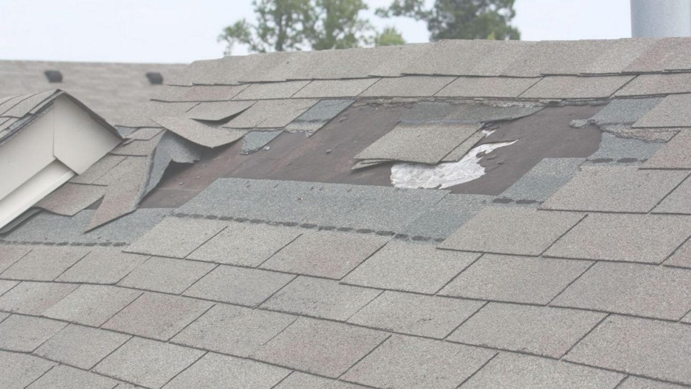 Best Roof Leak Repair Service Sunrise, FL