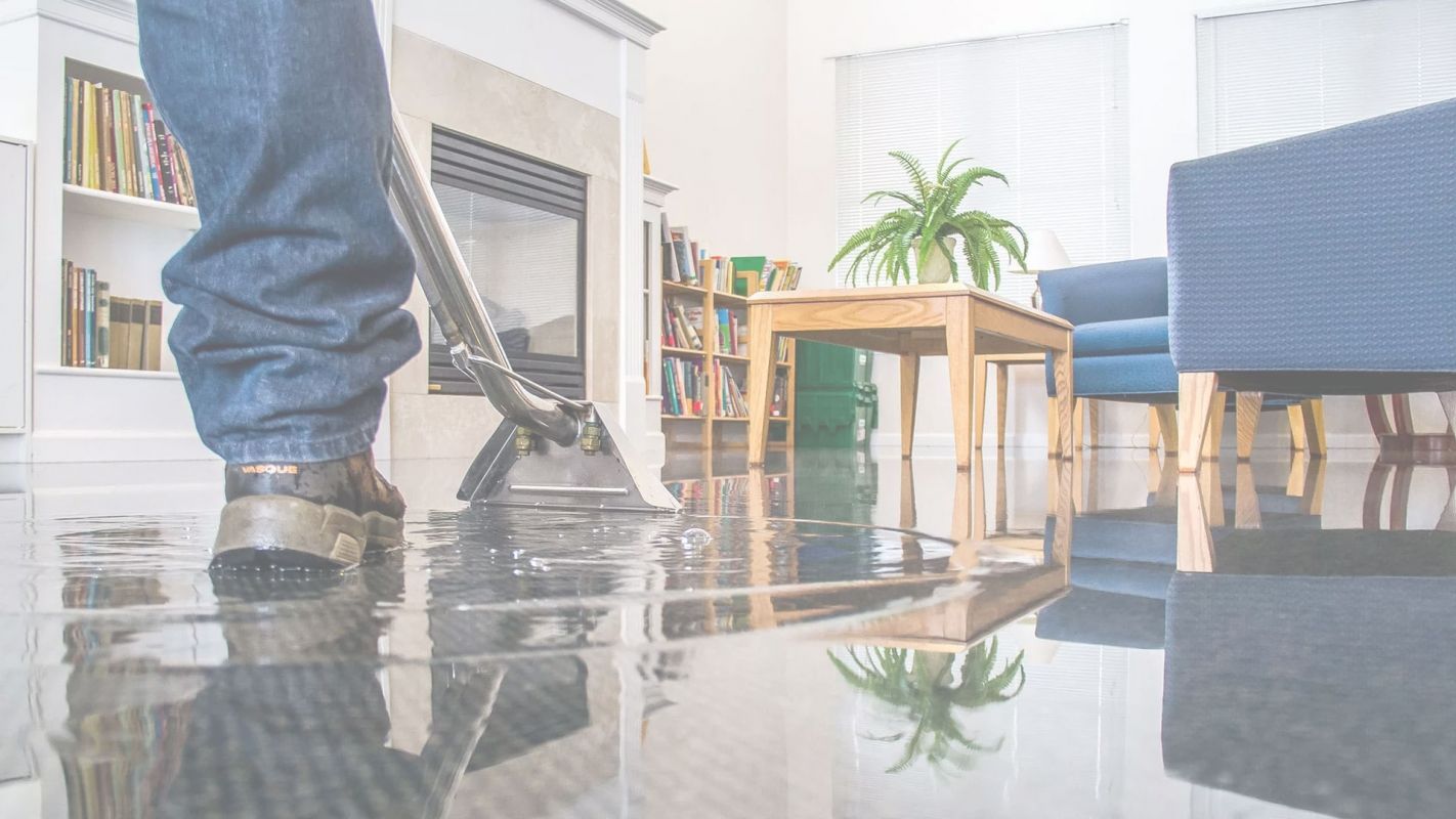 Professional Flood Cleanup Services McDonough GA