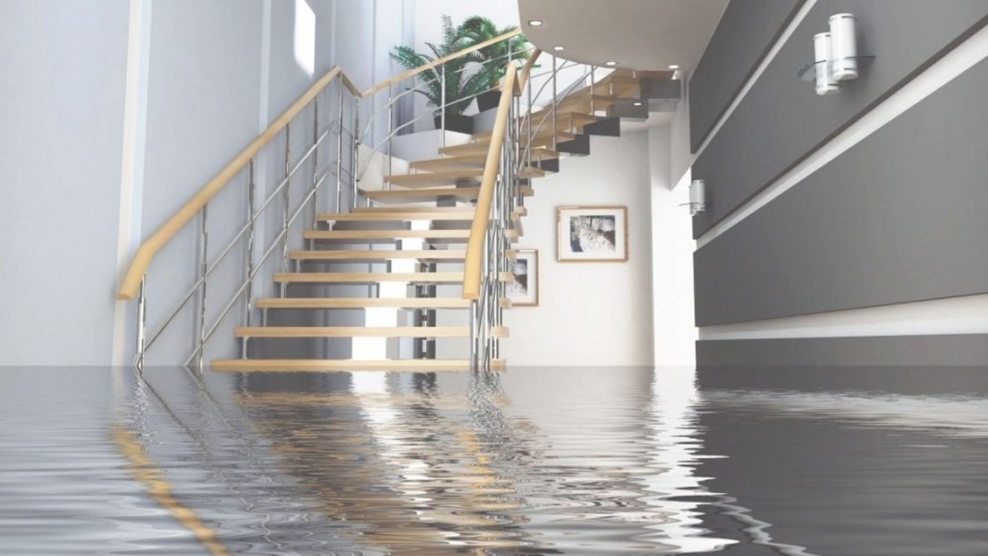 Professional Water Damage Claim Adjusters