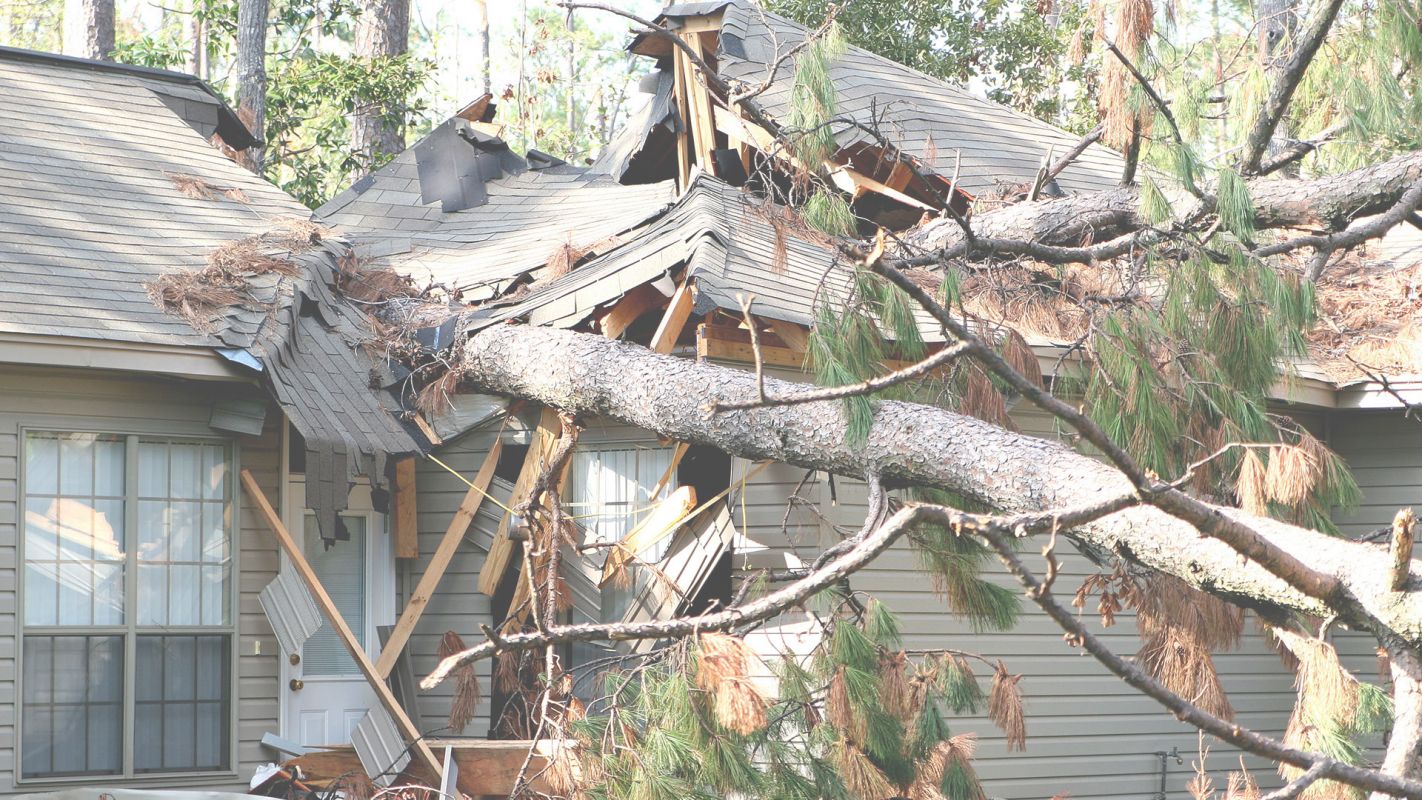 Best Wind Damage Claim Adjusters