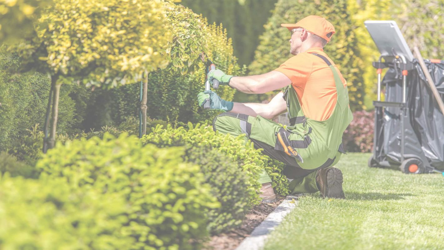 Dependable Landscaping Contractor Bonham, TX