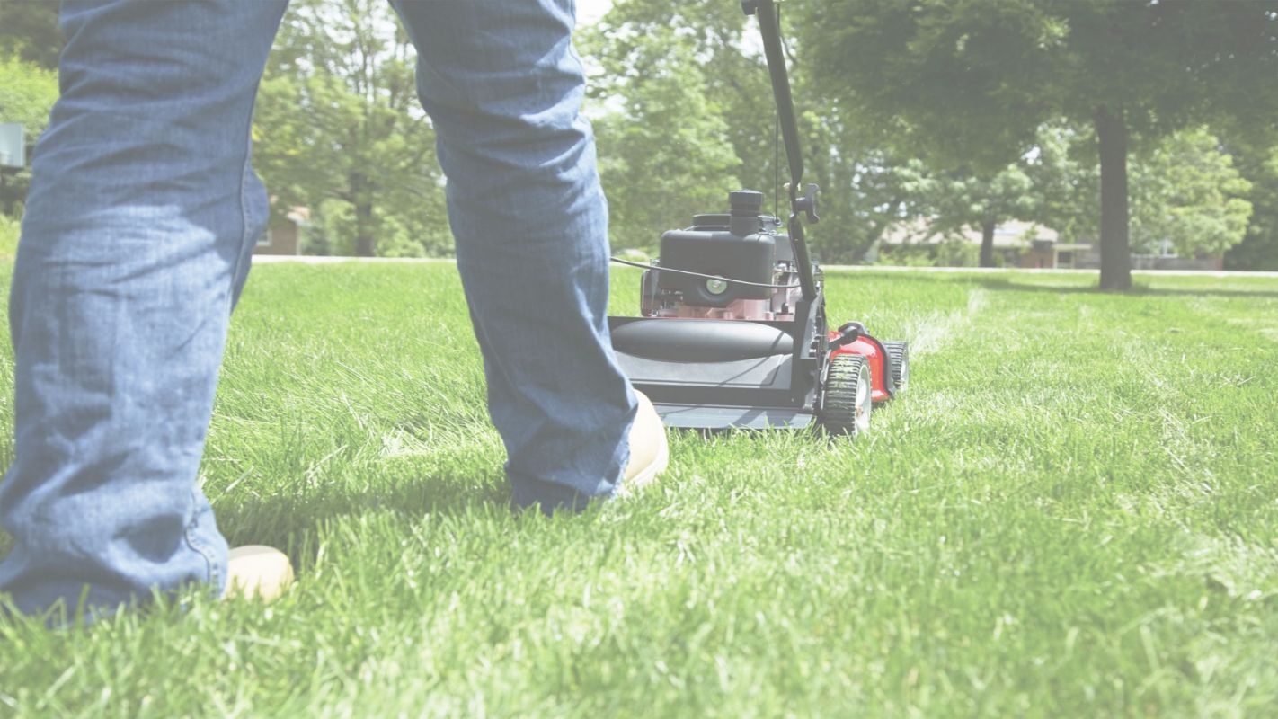 Most Trusted Lawn Maintenance Service Ontario, CA