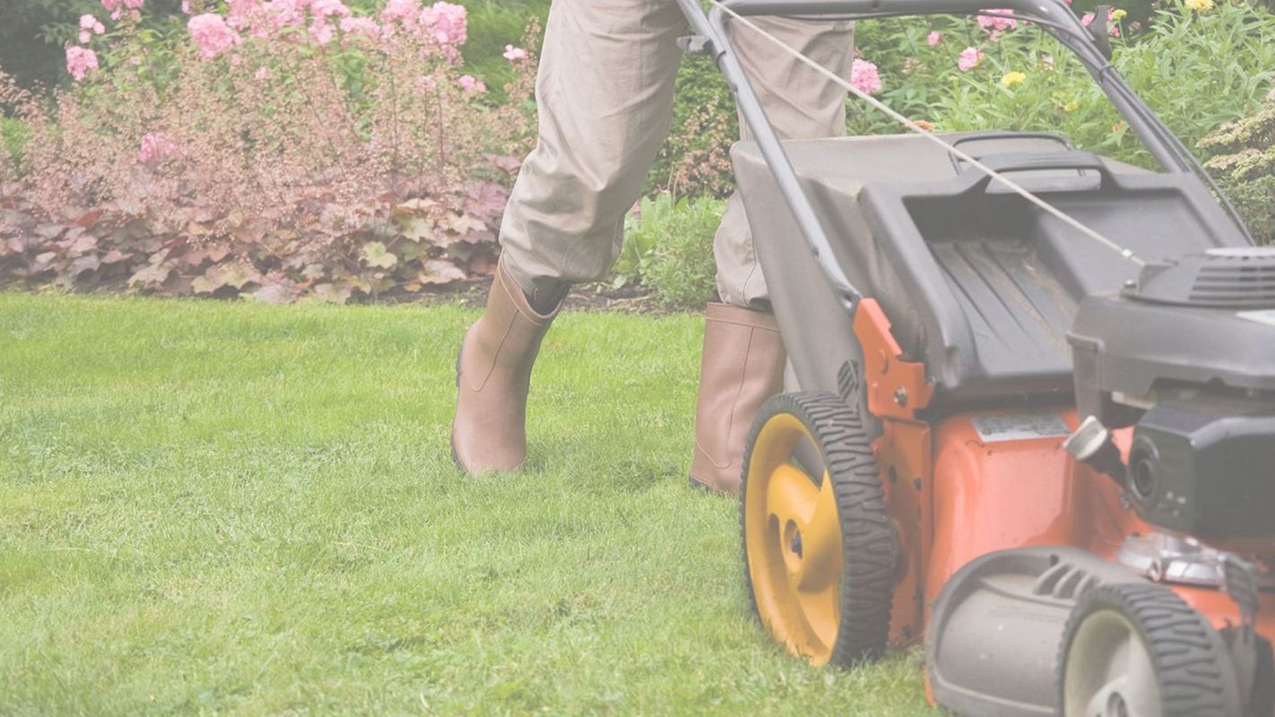 High-quality Lawn Care Services Ontario, CA