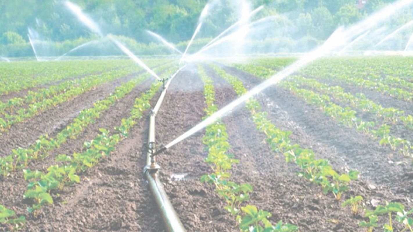 Reliable Micro Irrigation Services Ontario, CA