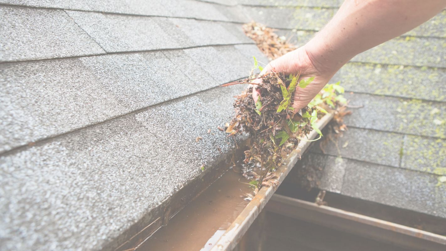 Reliable Rain Gutter Cleaning Services Chula Vista, CA
