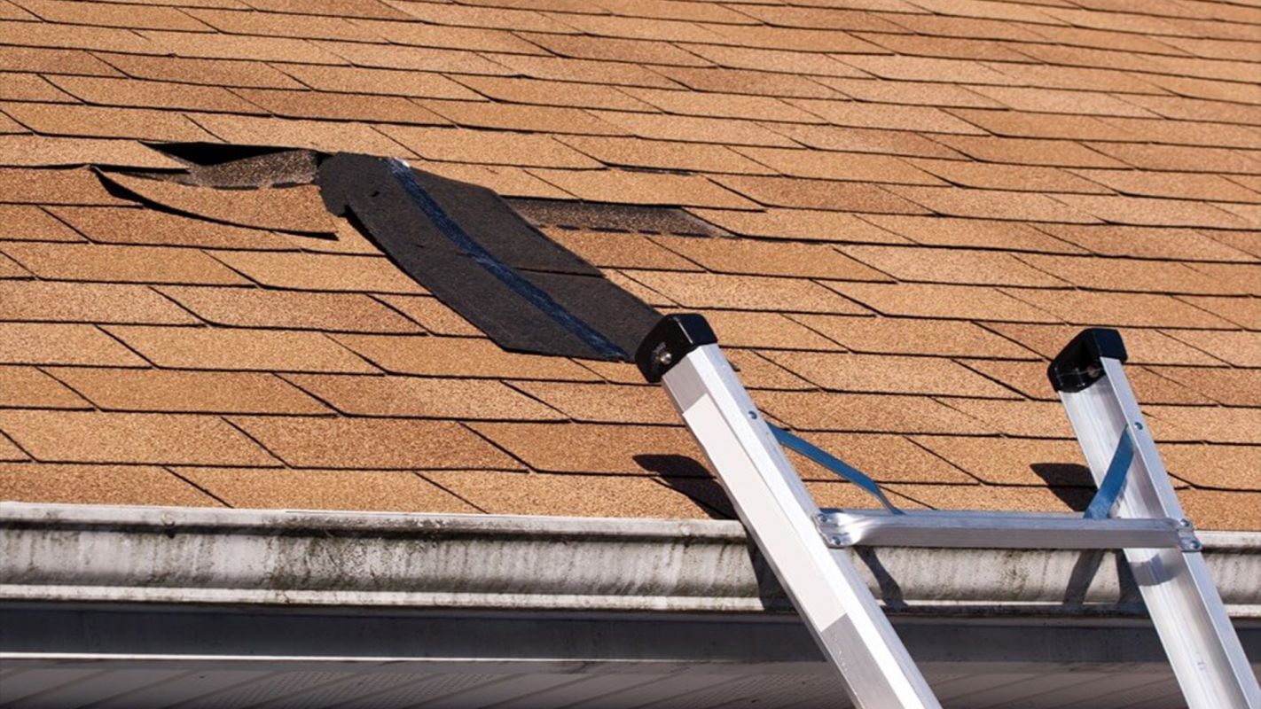 Roof Repair Service Farmington, MI