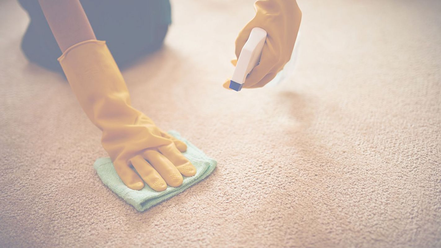 Reliable Carpet Stain Removal in Town