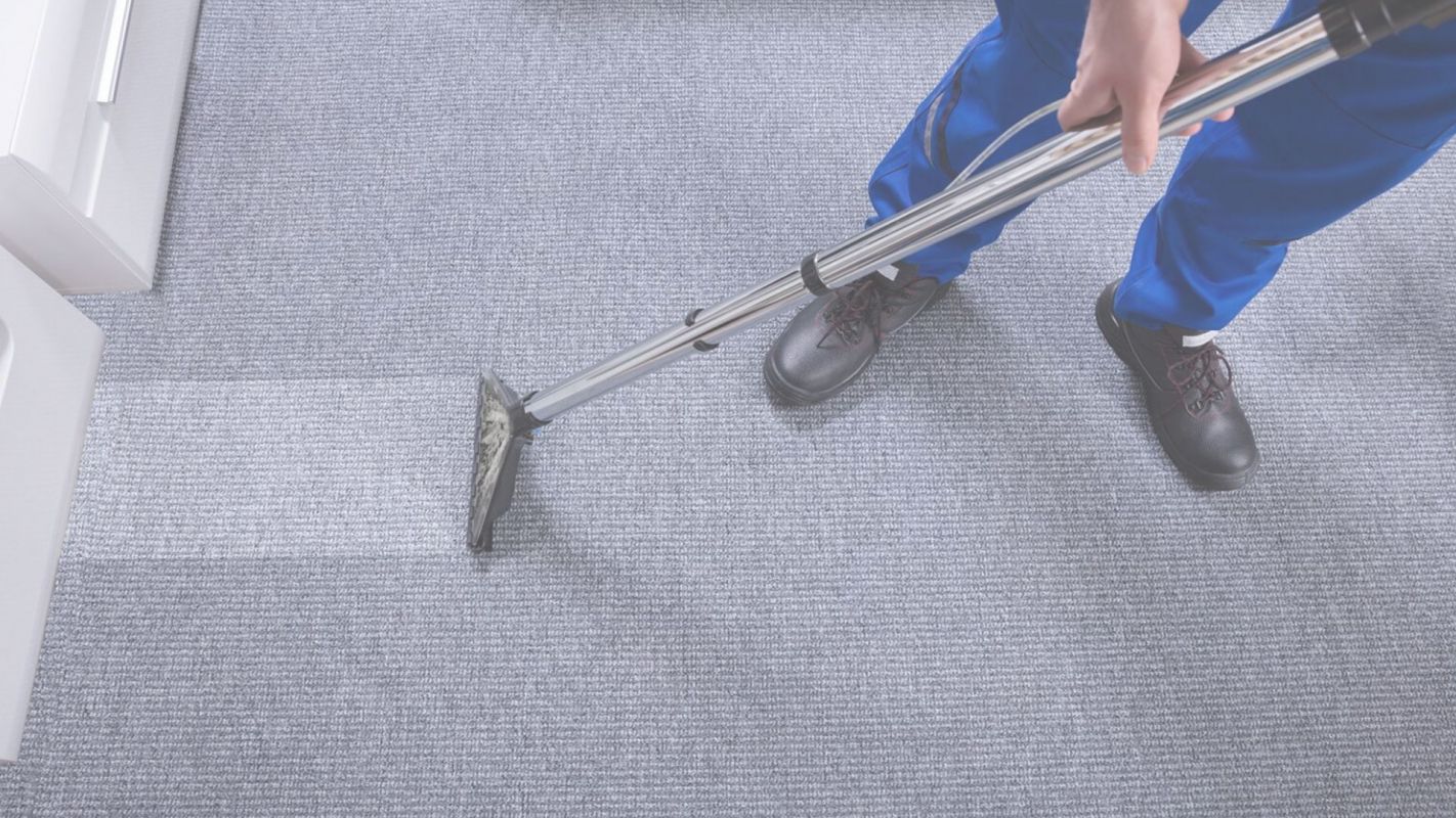 Hampton, VA’s Top-Tier Carpet Cleaning Services