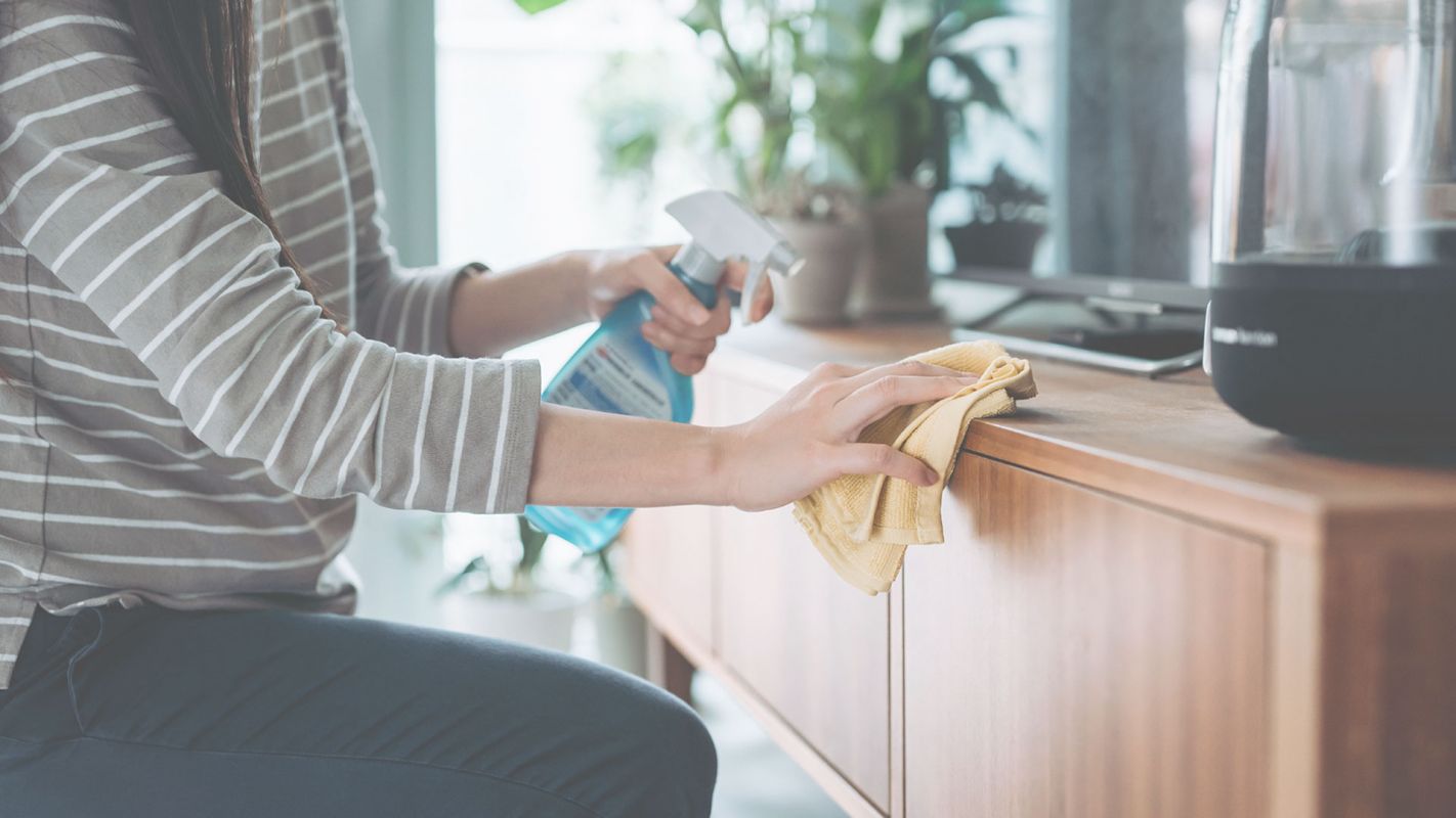 Best Furniture Cleaner in Town