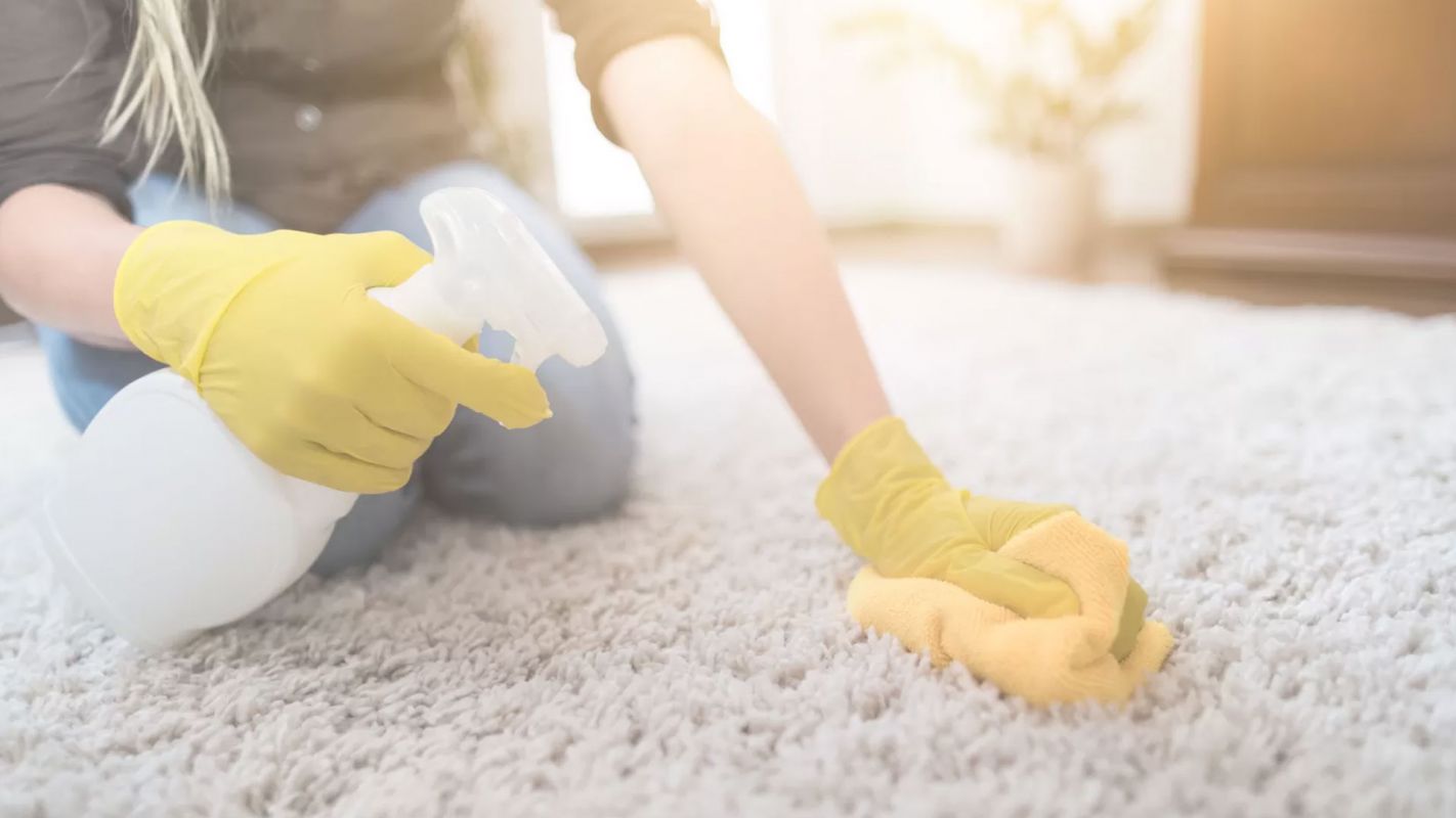 Top-Notch Carpet Odor Removal
