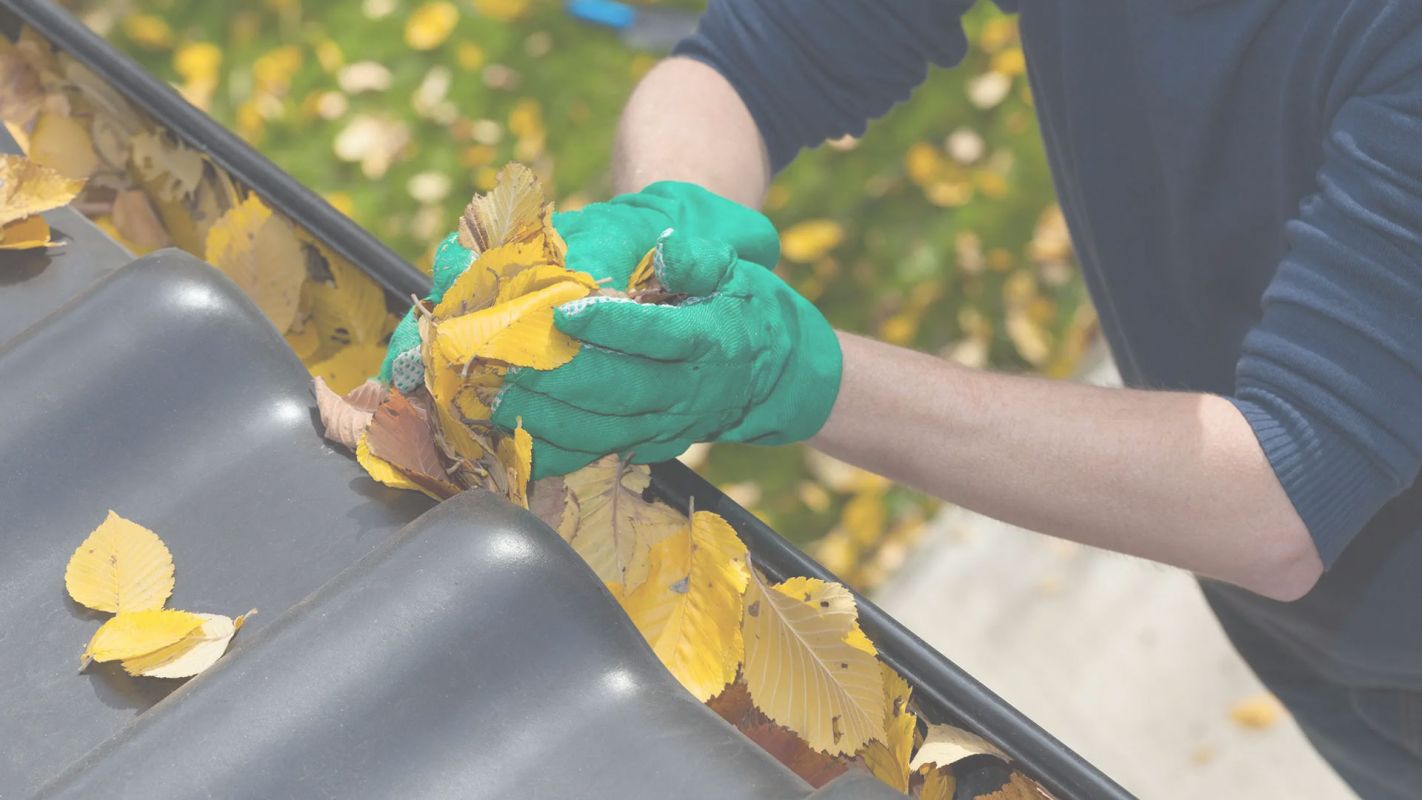 Local Gutter Cleaning Services for You!