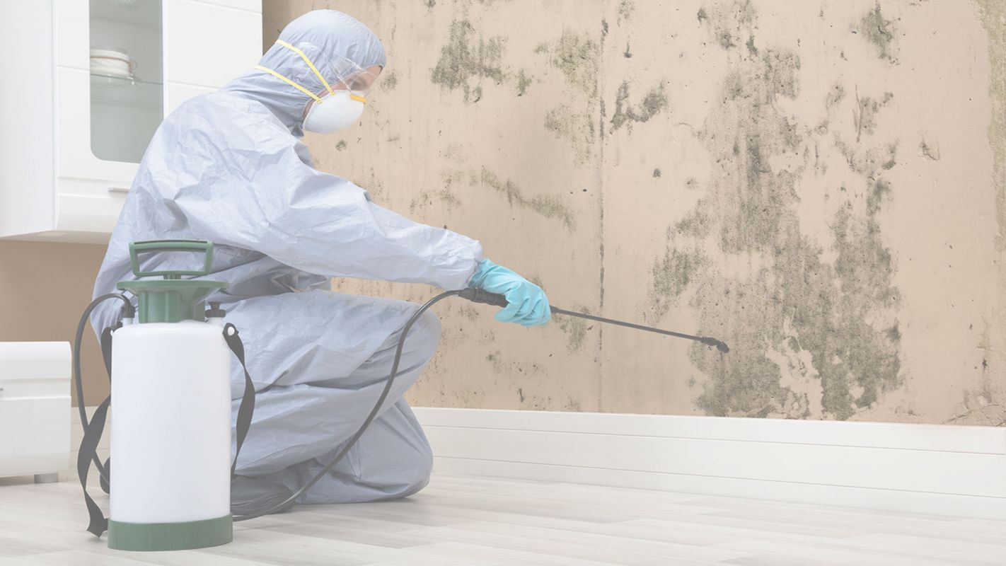 Cleveland, OH’s Mold Remediation Service
