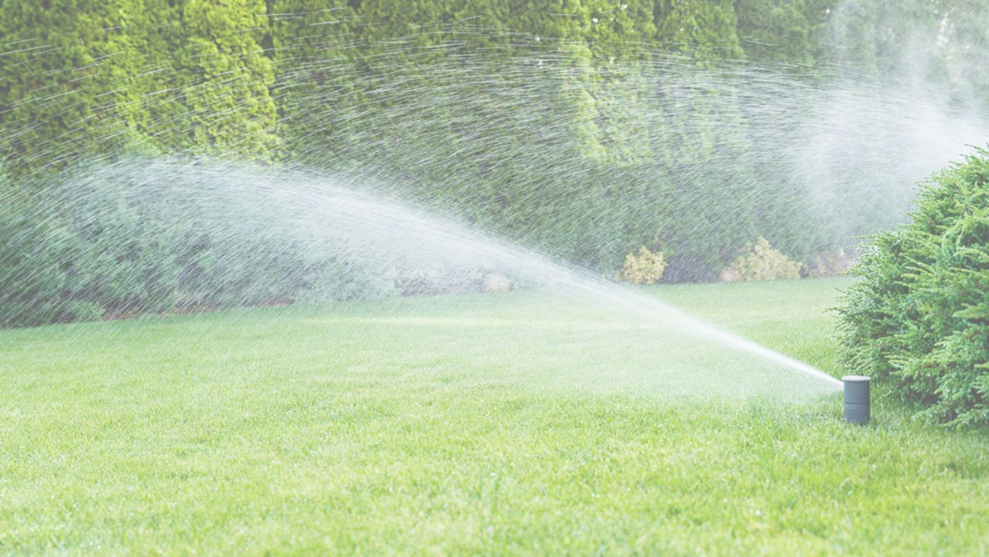 Experience The Best Irrigation Installation Services Denver, CO