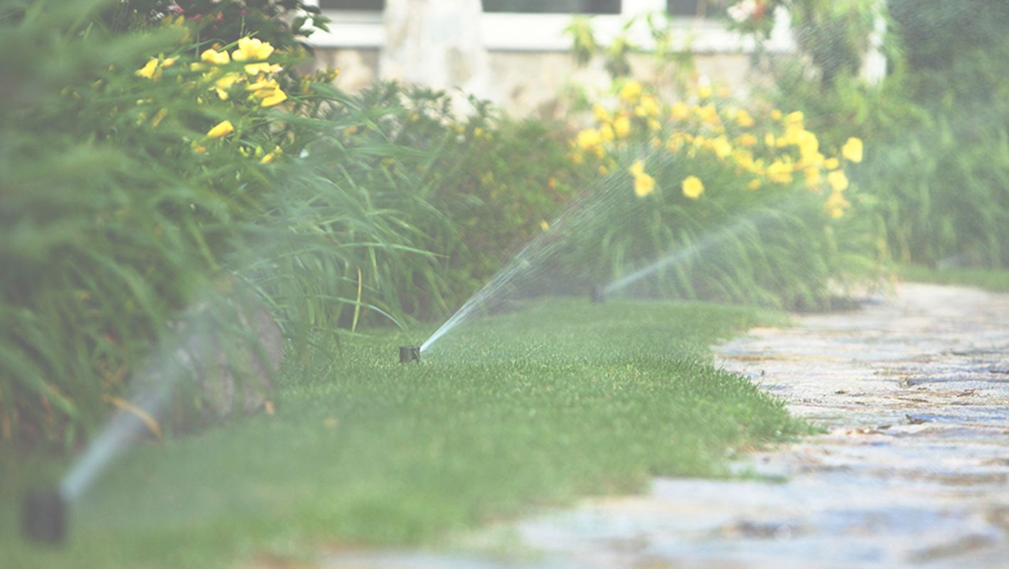 Get Highly Affordable Irrigation Service Denver, CO