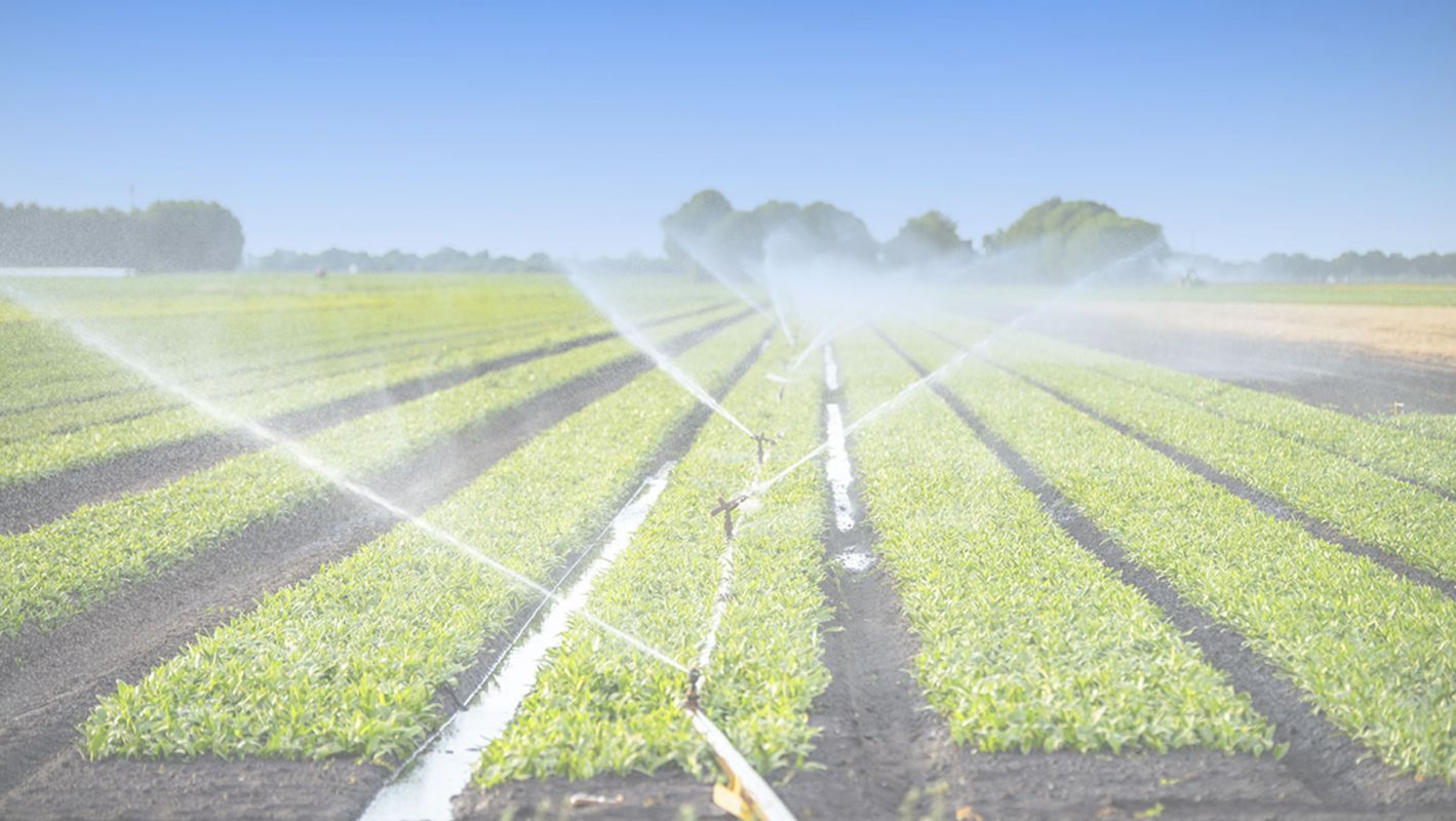 Get Commercial Irrigation Services In Lakewood, CO