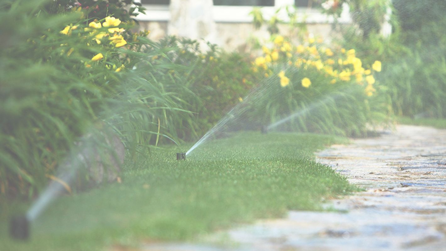 Get Highly Affordable Irrigation Service Golden, CO