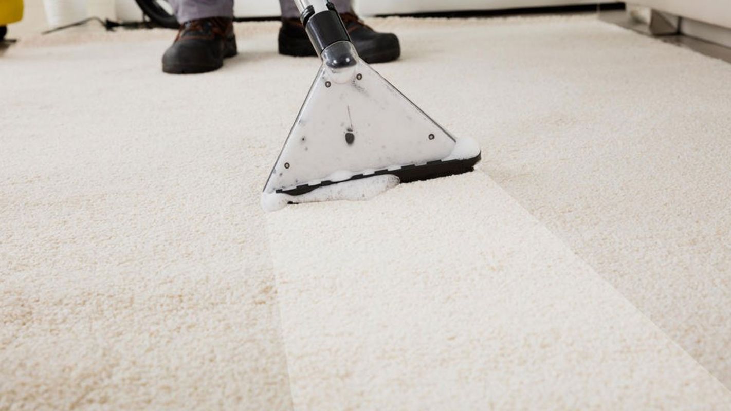 Best Commercial Carpet Cleaning Services for You!